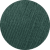 Włóczka wegańska Arctic Pearl Pascuali - 18 zielony
