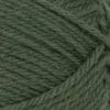 Włóczka Peer Gynt PetiteKnit Sandnes Garn - 9581 sosna